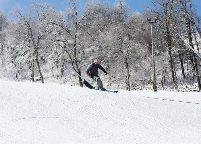Seven Springs Swiss Mountain 3 Bedroom Standard Condo, Close To Golf Course Condo